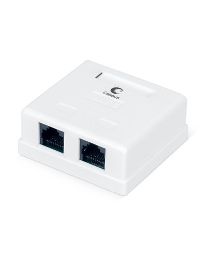 WS-8P8C-Cat.6-2 (7482c): Розетка RJ-45 в Пушкино
