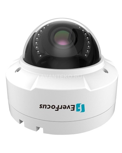 EHN-1250. Видеокамера IP купольная. EverFocus в Пушкино
