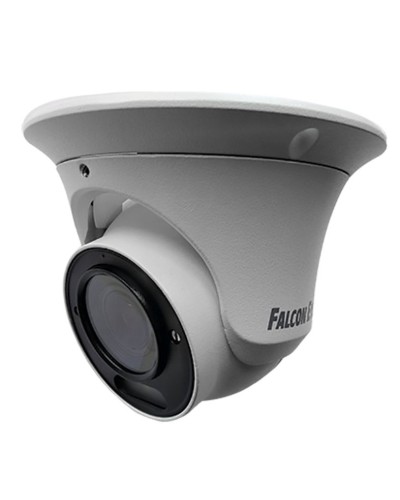 FE-IPC-DV5-40pa. Видеокамера IP купольная. Falcon EYE в Пушкино