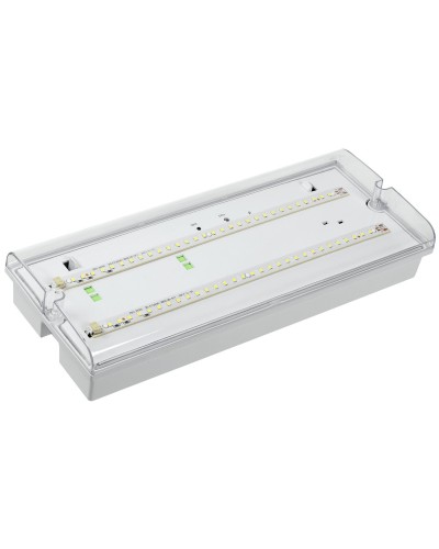 Светильник аварийный ДПА 5042-1 1ч IP65 LIGHTING (LDPA0-5042-1-65-K01). Светильник аварийный универсальный. IEK в Пушкино