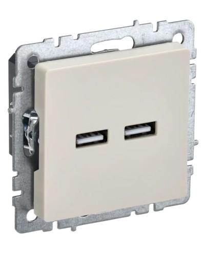 Розетка USB A+A 3,1А РЮ10-1-БрКр бежевый BRITE (BR-U21-D31-K10). Розетка USB. IEK в Пушкино