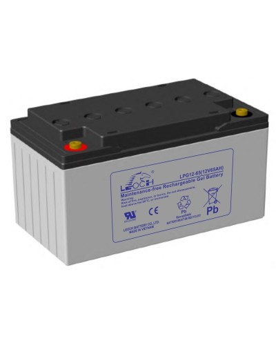 LEOCH LPG 12-65. Аккумулятор герметичный свинцово-кислотный. LEOCH в Пушкино