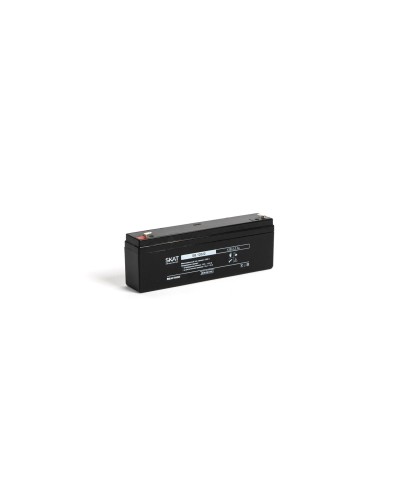 SKAT SB 12022 (2539). Аккумулятор герметичный свинцово-кислотный. Бастион в Пушкино