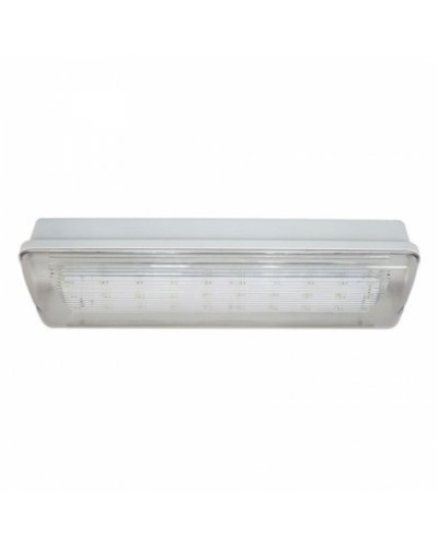 SL-223-30LED1.8 исп.1 IP54. Светильник аварийного освещения. ИП Раченков А.В. в Пушкино