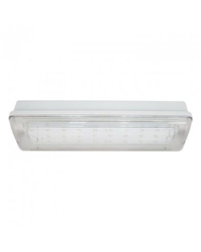SL-223-30LED1.8 исп. 1, IP65. Светильник аварийного освещения. ИП Раченков А.В. в Пушкино