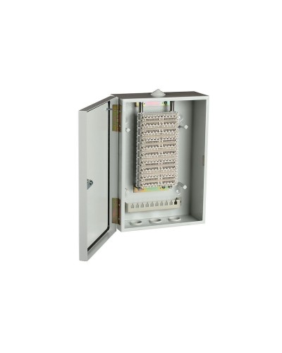 ШРН-В/100-Р (120908-00122). Шкаф ШРН-В/100-Р, плинт ПВТ-10Р-5е. ССД (Связьстройдеталь) в Пушкино